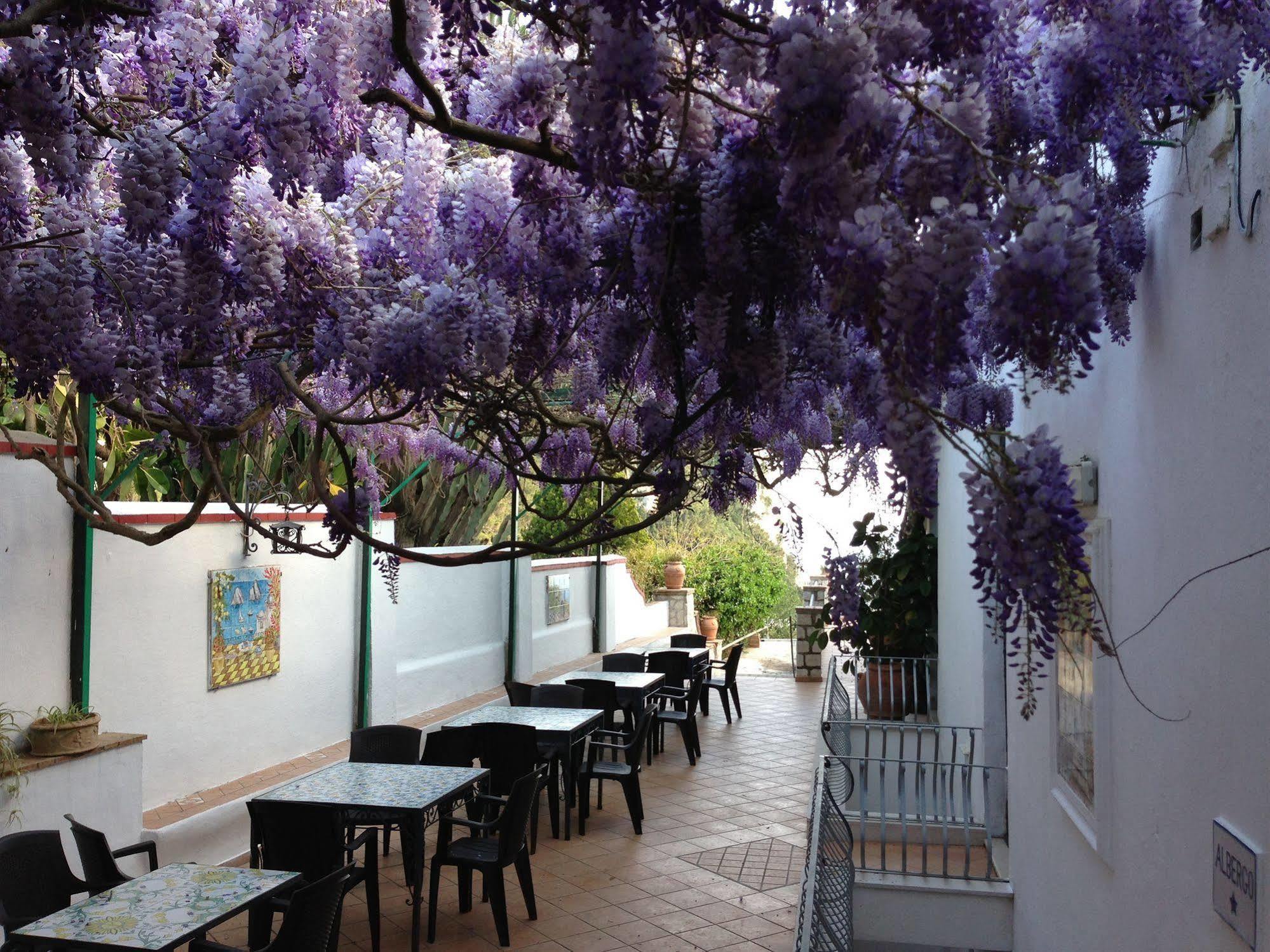 Hotel 4 Stagioni *